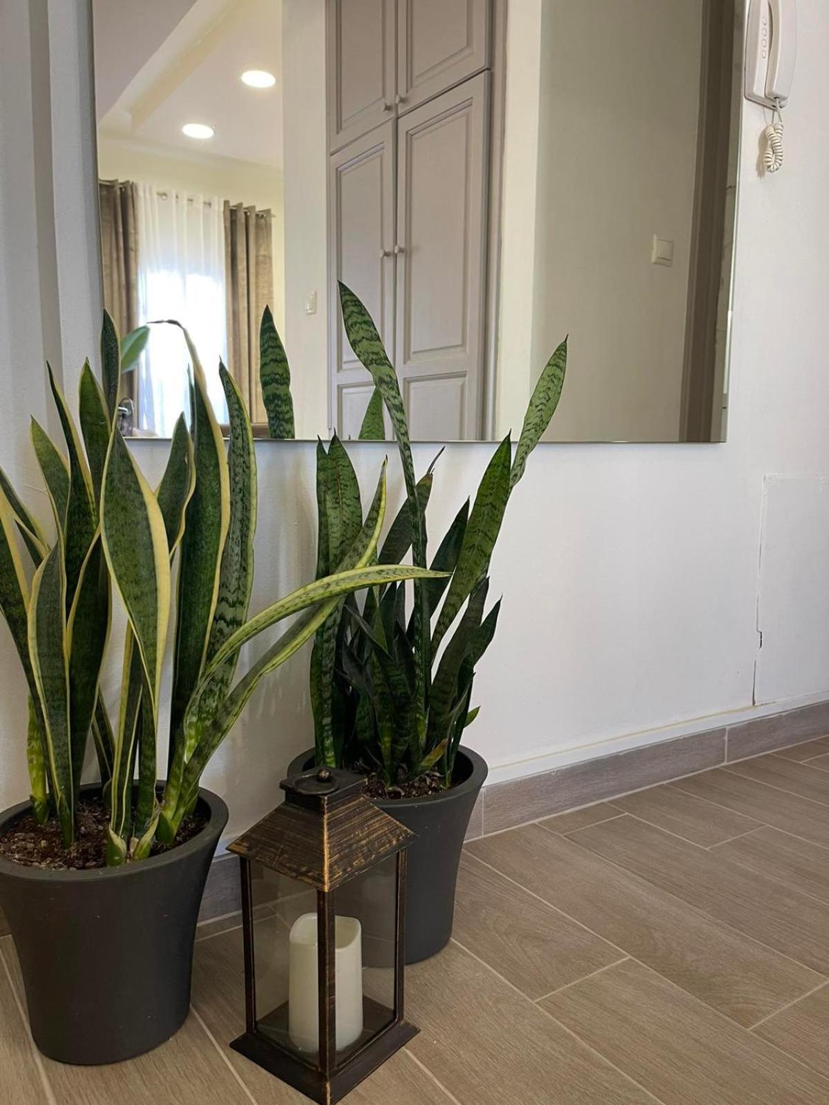 Andromachi 2 Apartment Volos Exterior photo